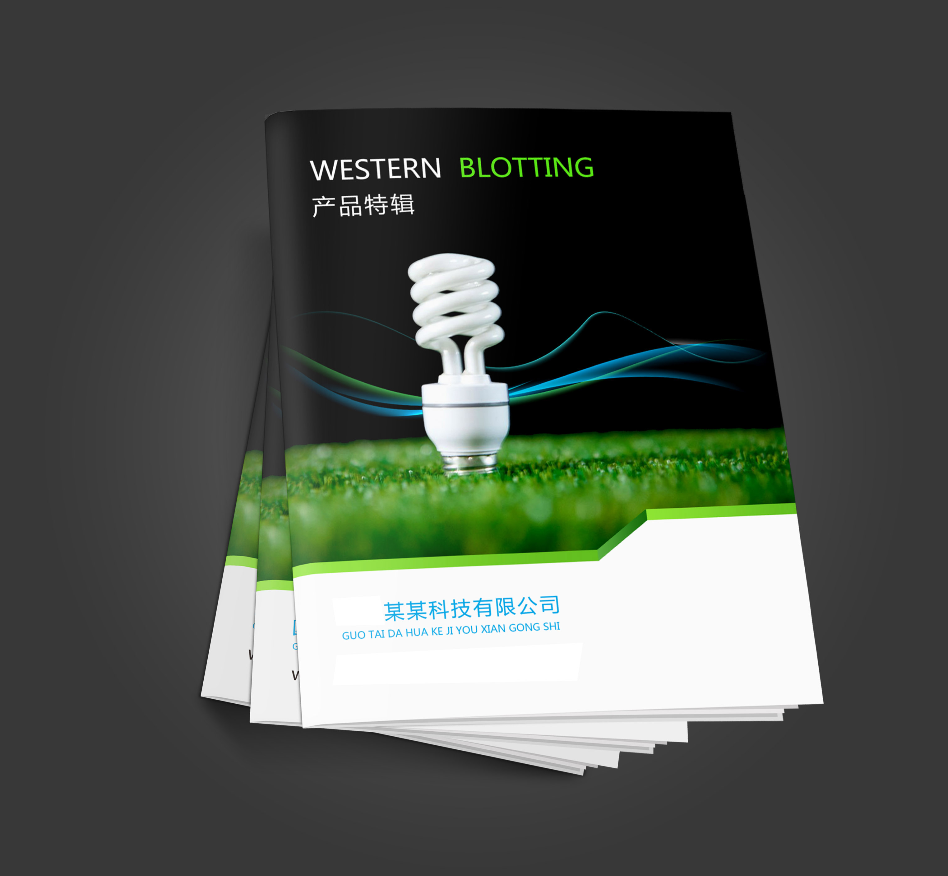 郑州灯饰画册印刷 LED灯饰画册设计