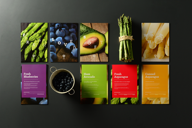 企业画册设计印刷