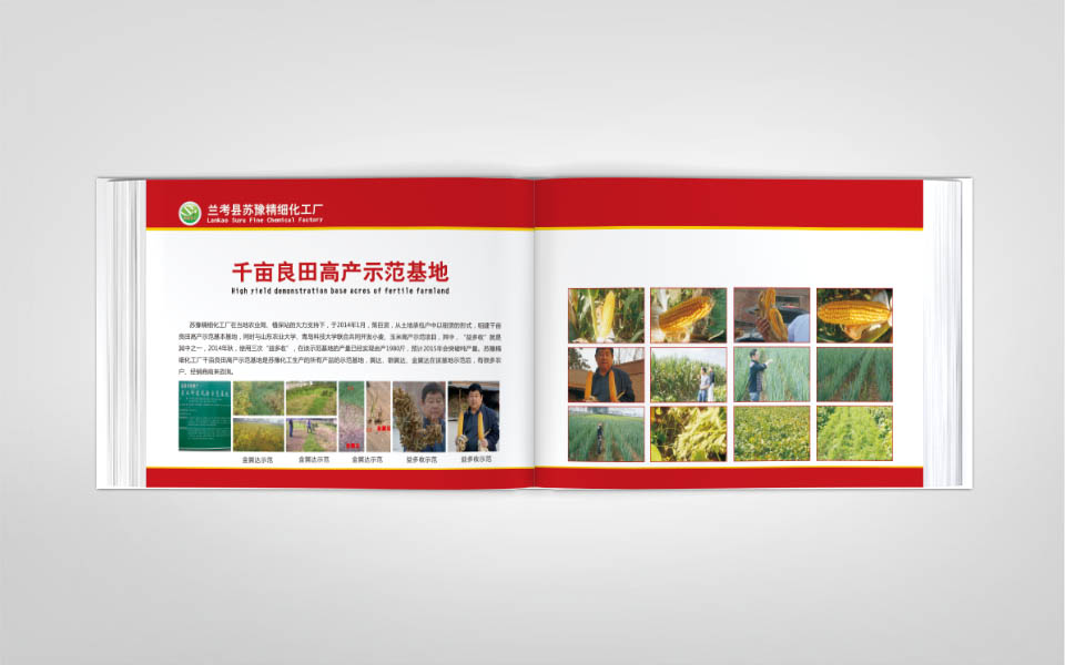 苏豫农化公司画册设计