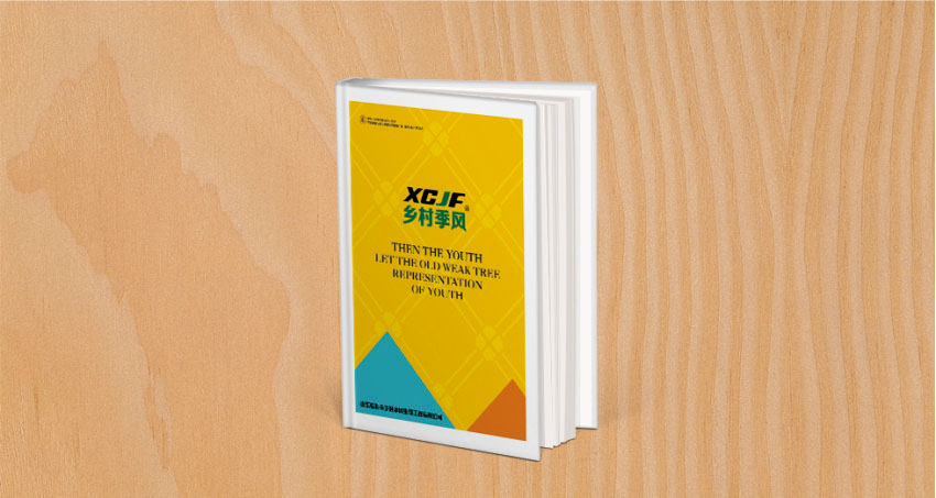 乡村季风 标志 VI画册 文化建设 空间设计