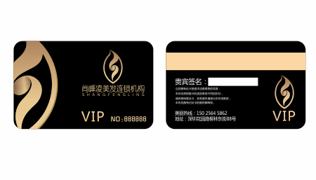 尚峰凌美发机构LOGO设计