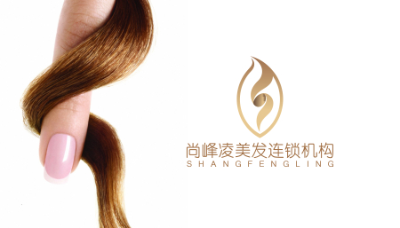 尚峰凌美发机构LOGO设计