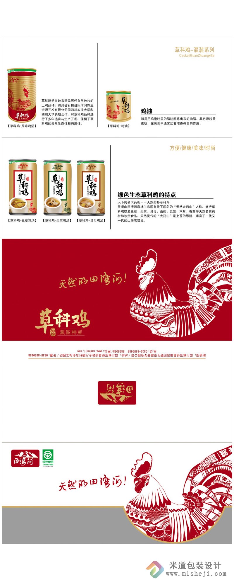 折页设计 五折页欣赏 郑州折页