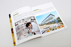 企业宣传画册设计的技巧