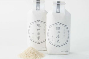 大米包装的设计